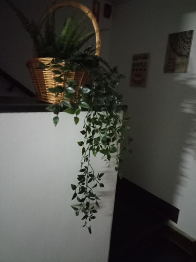 Hostel Vilarade Portimão Zewnętrze zdjęcie